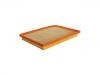 Air Filter:22679620