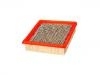 Luftfilter Air Filter:25043246