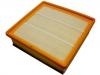 Air Filter:55184249