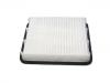 Luftfilter Air Filter:A21-1109111FL