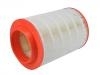 Air Filter:SK223019A0026