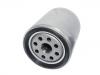 Fuel Filter:21925732